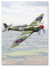 The Macneil Studio 'Spitfire' Canvas Art, 47"x35"