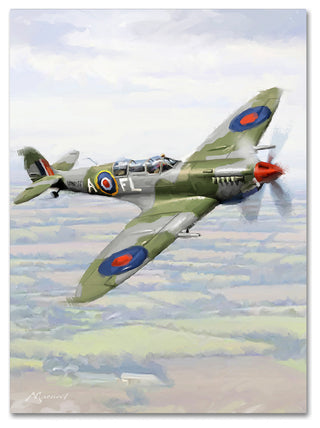 The Macneil Studio 'Spitfire' Canvas Art, 47"x35"