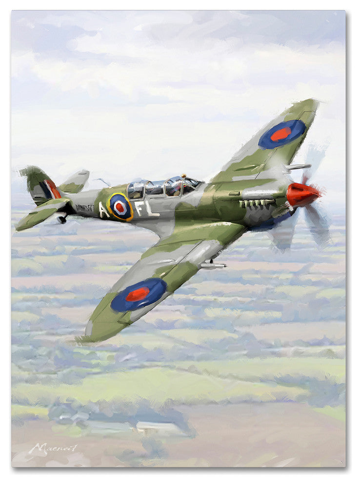 The Macneil Studio 'Spitfire' Canvas Art, 47"x35"