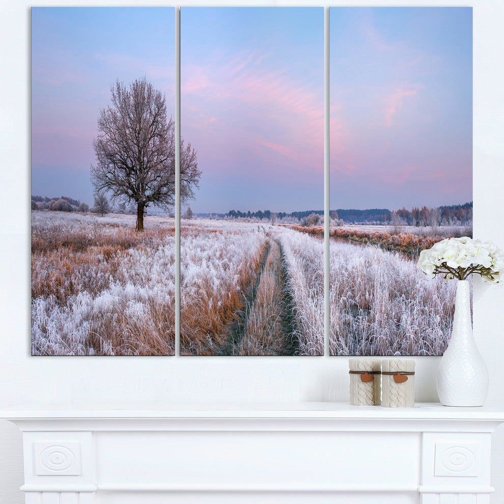 "Dry Oak Tree in Winter Panorama" Metal Wall Art, 3 Panels, 36"x28"