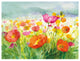 "Meadow Poppies" Digital Paper Print by Danhui Nai, 50"x38"