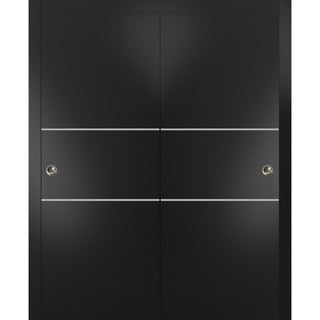 Bypass Doors 64 x 80 | Planum 0110 Matte Black with  | Sturdy Rails