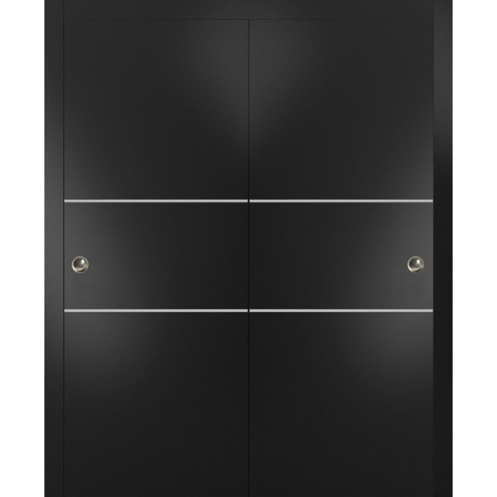 Bypass Doors 64 x 80 | Planum 0110 Matte Black with  | Sturdy Rails