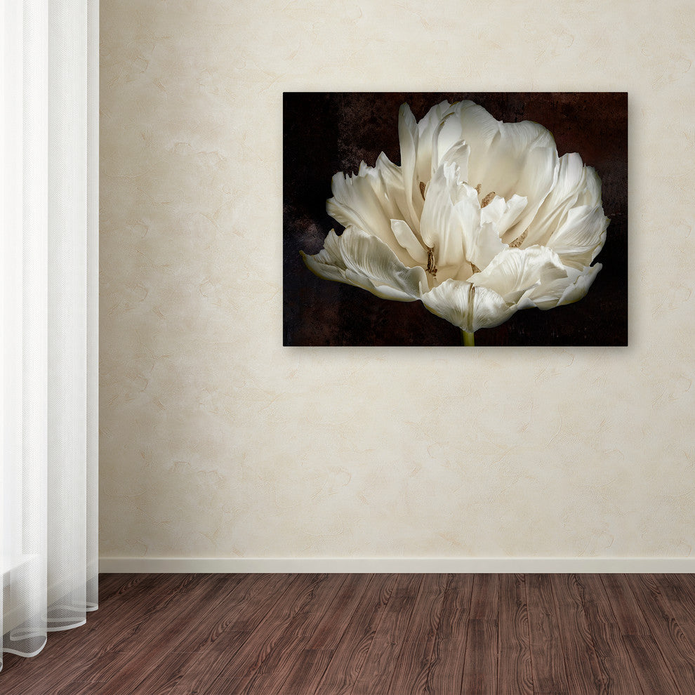 Cora Niele 'Double White Tulip' Canvas Art