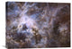 "Wide Field 30 Doradus UVIS" Stretched Canvas Giclee by NASA, 24"x18"
