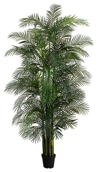 Full plant in a pot on a white background, fully visible (primary_product).