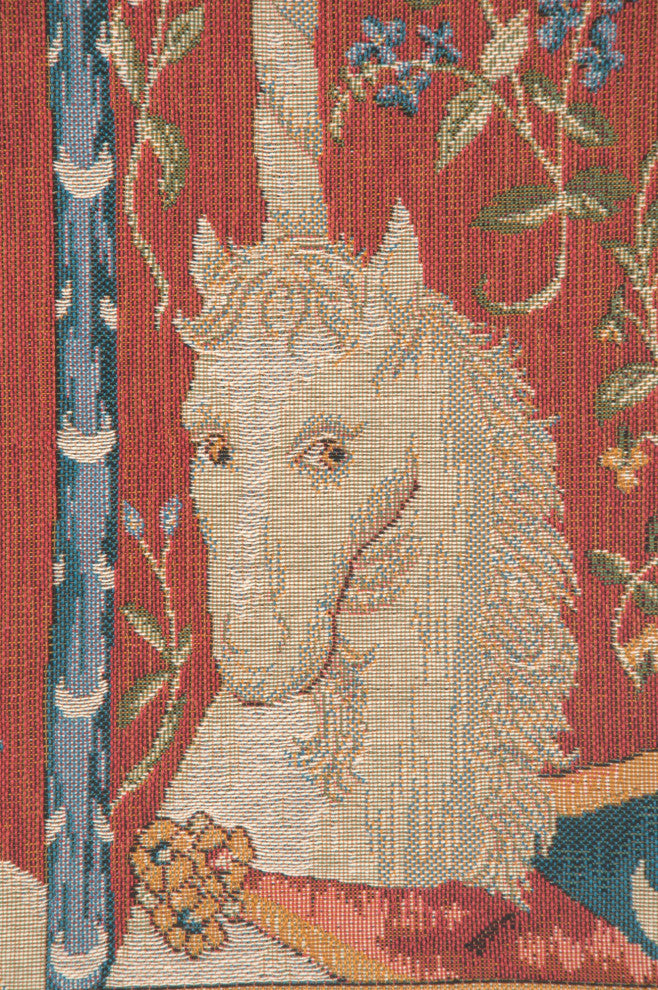 The Unicorn 1 European Cushion