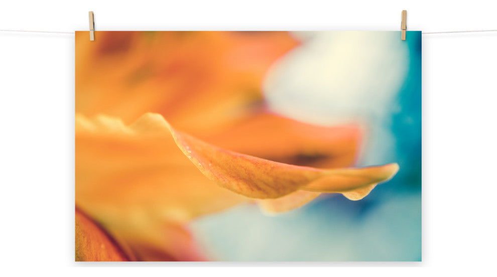 Serene Petals of Life Floral Nature Photography Unframed Wall Art Print, 18" X 24"