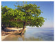 "Roatan Island, Honduras" Digital Paper Print by Tim Fitzharris, 34"x26"