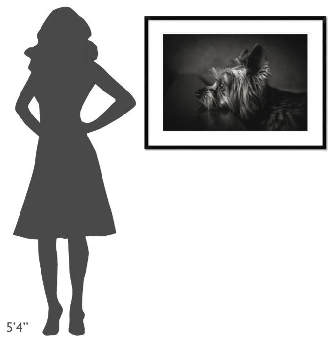"I Have Been Waiting For You" Framed Digital Print by Krisztina Lacz, 38"x28"