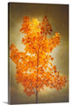 "Textured Autumn" Wrapped Canvas Art Print, 16"x24"x1.5"