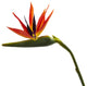 38" Large Bird of Paradise Artificial Flower, Set of 4