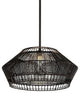 Hunters Point 1-Light Pendant, Espresso, Woven Rattan, Clear Glass Shade, 28"