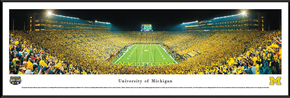 Michigan Wolverines Panoramic, Standard Frame