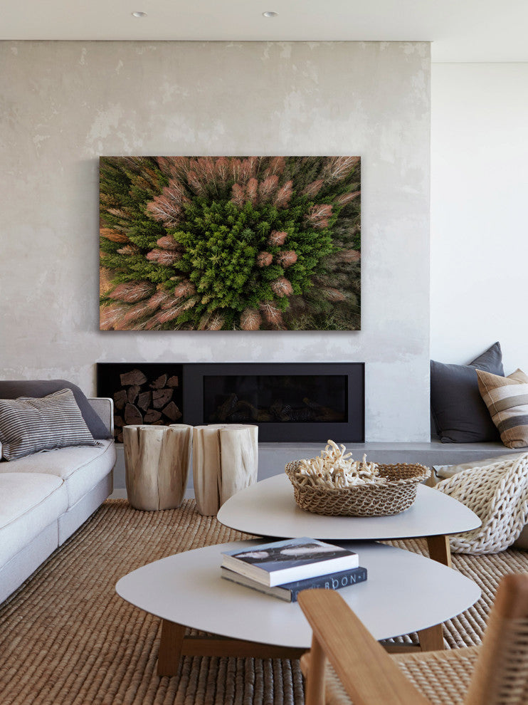 "Feather Trees" Print on Canvas by Karolis Janulis