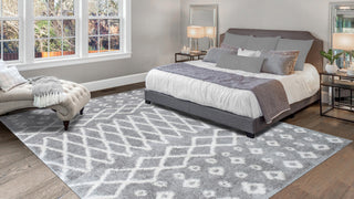 Noori Rug Shag Roy Silver/Ivory Rug