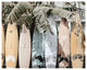 Contemporary Surfs Up Wall Dcor - Multicolor
