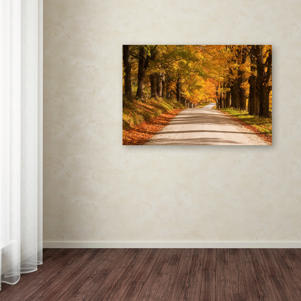 Michael Blanchette Photography 'Maple Canopy' Canvas Art, 47x30