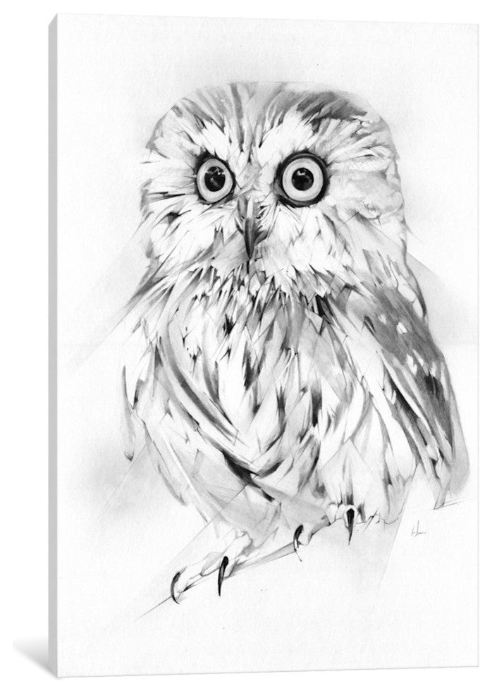 "Wise" by Alexis Marcou, Canvas Print, 18"x12"