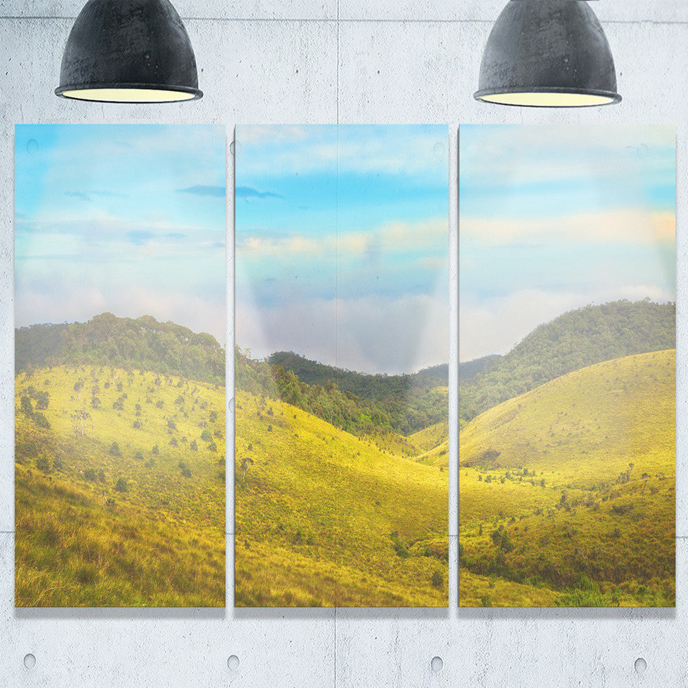 "Horton Plains Under Blue Sky" Oversized Metal Wall Art, 3 Panels, 36"x28"