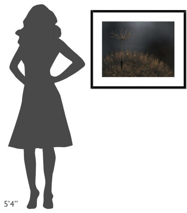 "Standing Toward The Light" Framed Digital Print by Thierry Dufour, 32x26"