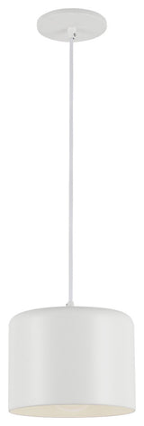 Emilia Transitional Modern Pendant Light, Matte White