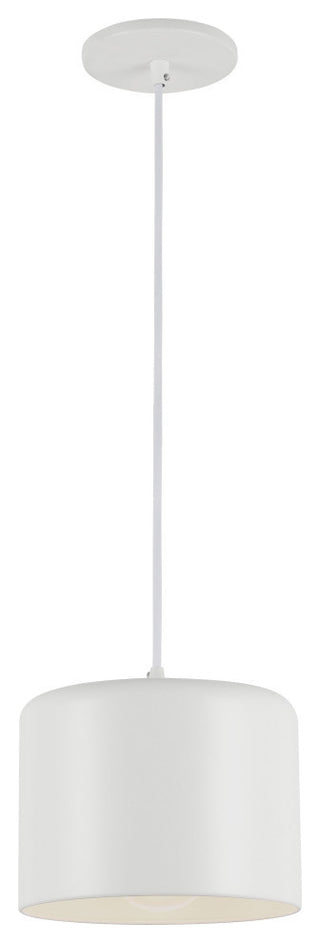 Emilia Transitional Modern Pendant Light, Matte White