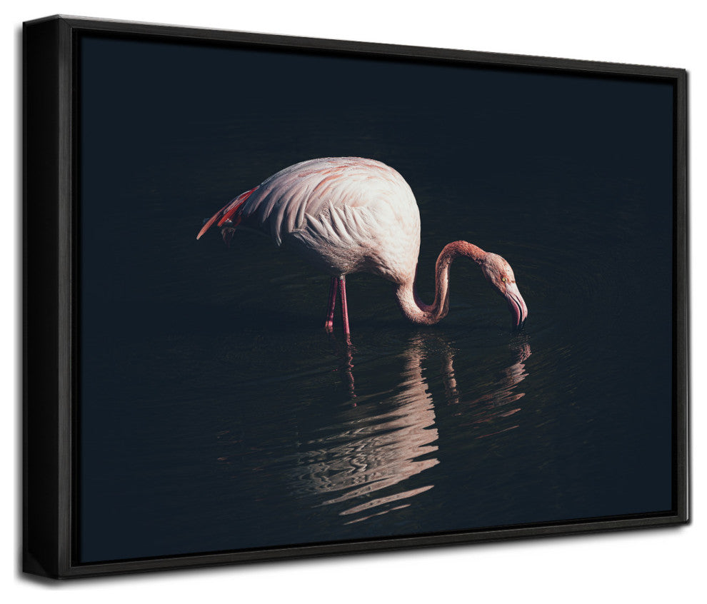 Enlighted Flamingo' Framed Print Wall Art by Marco Tagliarino