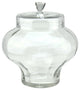 14.5" Transparent Segmented Glass Container With Lid