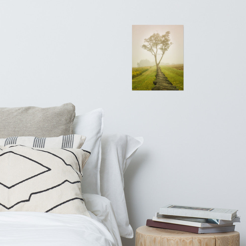 Wall Art Print Landscape Photograph Calming Morning Rural Unframed, 11" X 14"