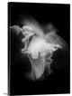 "Lily I" Wrapped Canvas Art Print, 18"x24"x1.5"