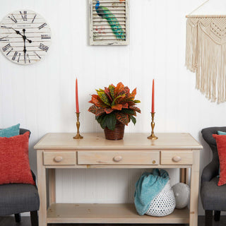 Lifestyle image: plant displayed in a real-room setting on a table; entire plant is visible.