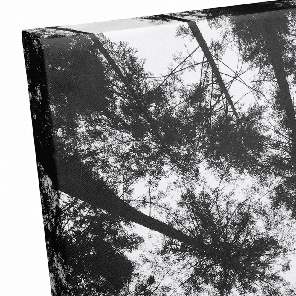 Black and White Tree Lookup Print on Canvas