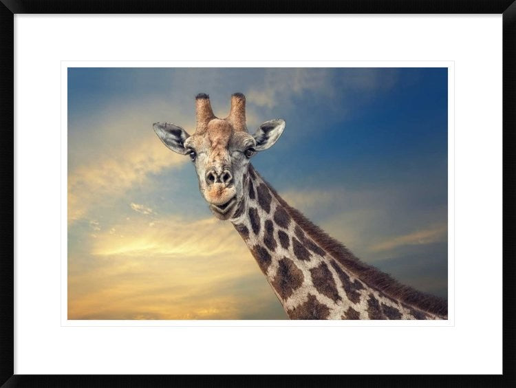 "The Friendly Giant" Framed Digital Print by Piet Flour, 30x22"