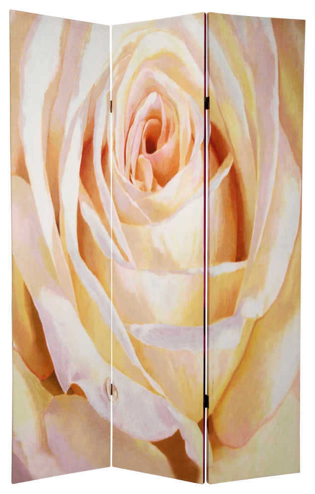 6' Tall Double Sided Roses Room Divider