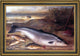 Gustave Joseph Cheret Still Life of Fish  Framed Premium Canvas Print, 18"x27"