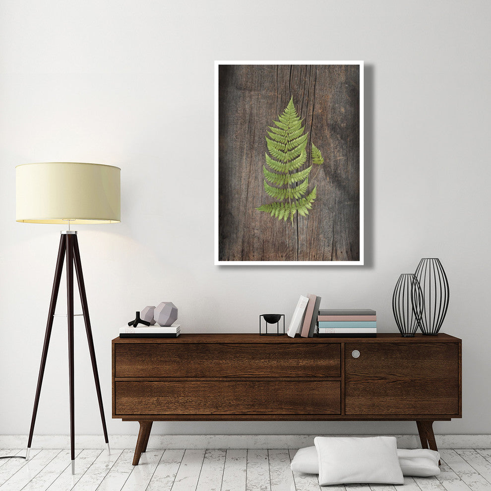 "Woodland Fern IV" Digital Paper Print by Sue Schlabach, 38"x50"