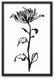 Tall Botanical I 20"x30" Black Framed Canvas