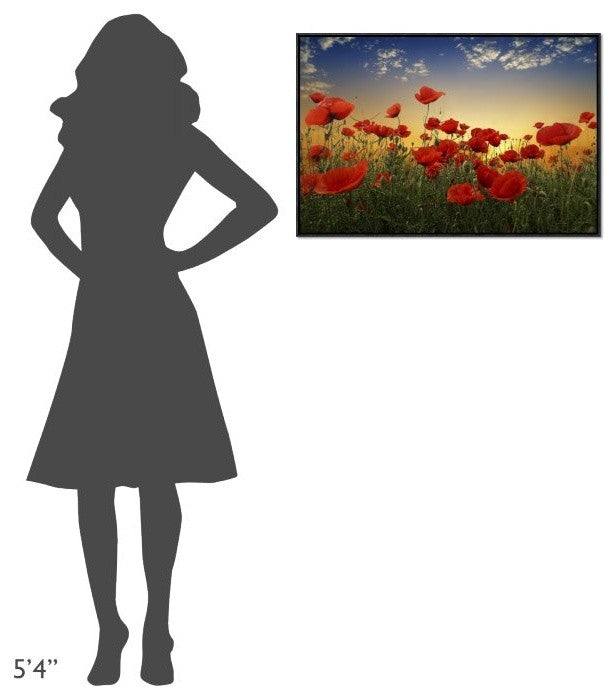 "Poppies" Framed Canvas Giclee by Tais, 31x21"