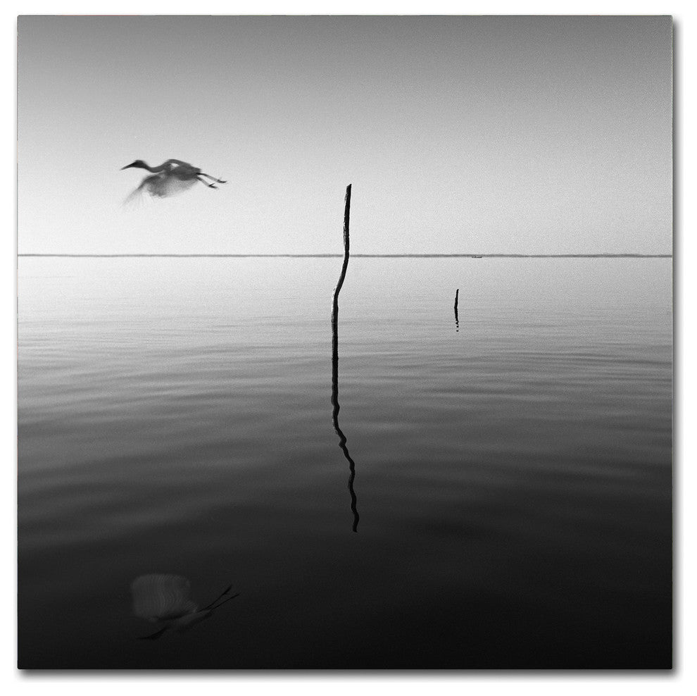 "Fly" Canvas Art by Moises Levy