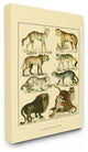 Big Cats Wildlife Illustration Stretched Canvas Wall Art, 16"x20"