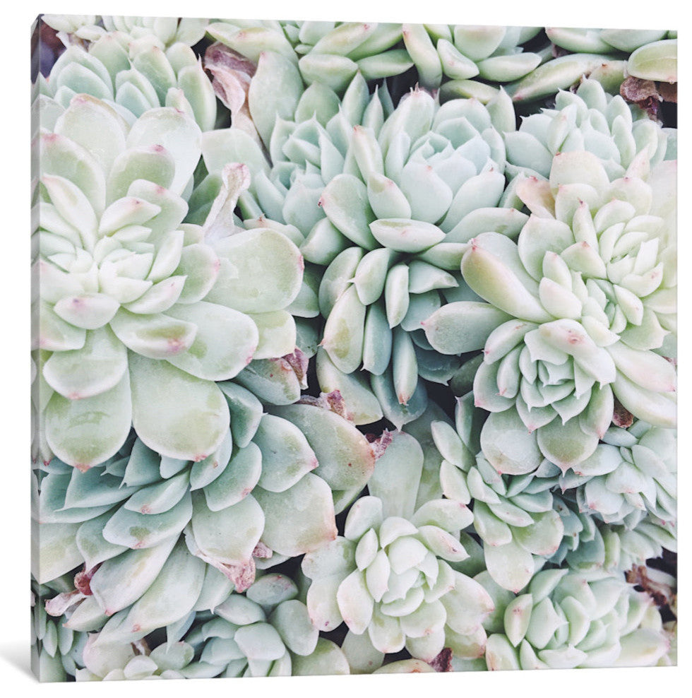 "Primrose Green" by Chelsea Victoria, 18x18x1.5
