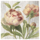 "Scented Cottage Florals I Crop" Digital Paper Print by Danhui Nai, 20"x20"