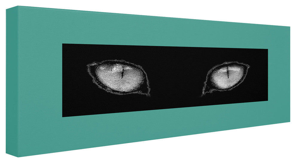 ''Cat Eyes'' Canvas Art by Patty Tuggle