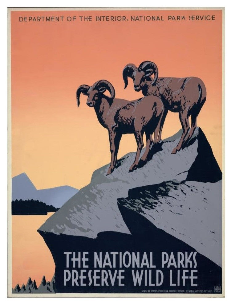 "The National Parks Preserve Wild Life, ca. 1936-1939" Print by J. Hirt, 14"x18"
