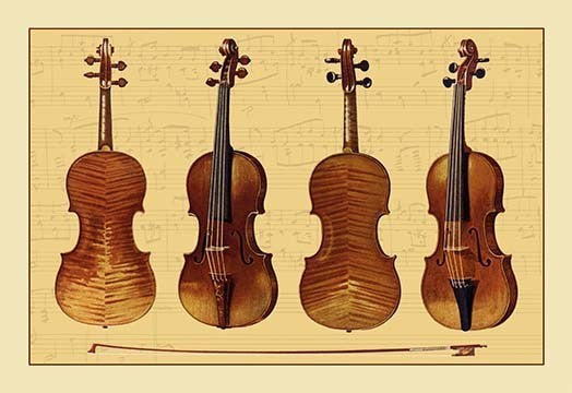 Violins- Gallery Wrapped Canvas Art 28" x 42"