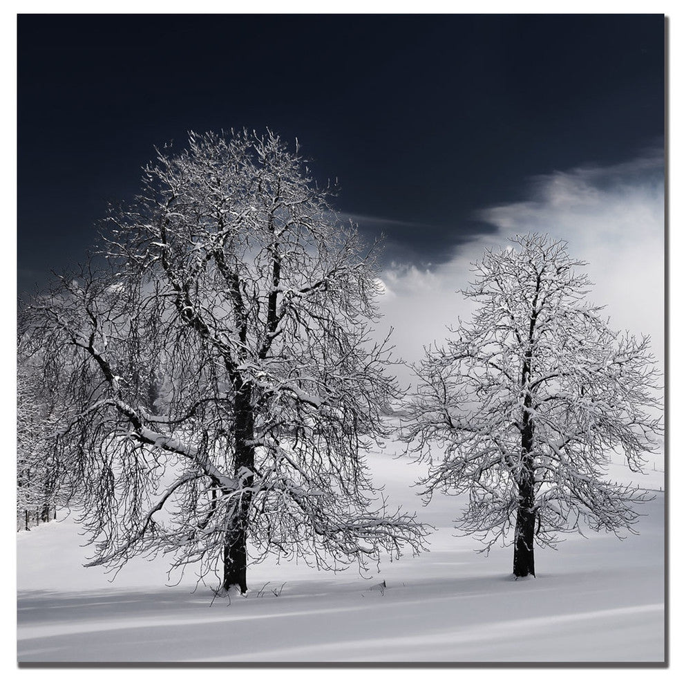 'White Nature' Canvas Art by Philippe Sainte-Laudy
