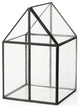 House Shaped Glass Terrarium