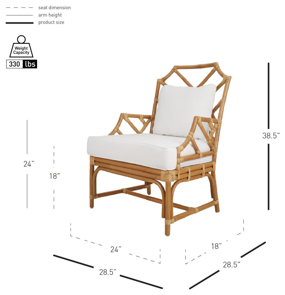 Kara Rattan Accent Arm Chair, Canary Brown