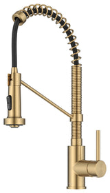 Bolden Commercial Style 2-Function Pull-Down 1-Handle 1-Hole Kitchen Faucet, Brushed Brass